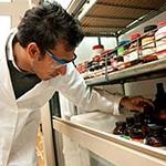 Male pharmacist reaching for a medication on a shelf.